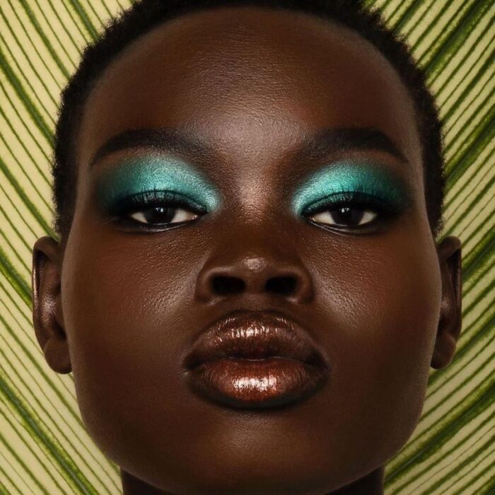 Makeup for Black Skin