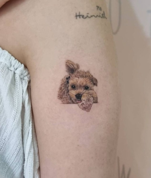 dog tattoo