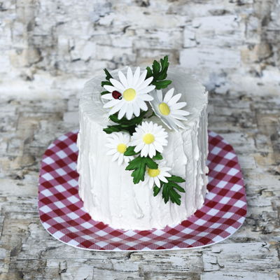 Decorated Cake Daisies