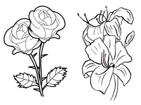 desenho-para-colorir-flores