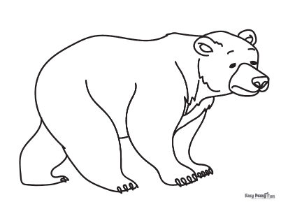 desenho-para-colorir-urso