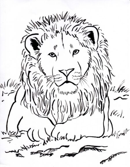 desenho-para-colorir-leao