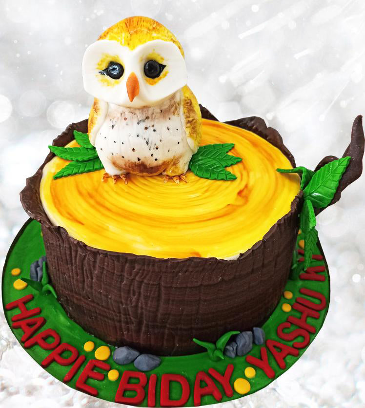 Owl Decorated Cake