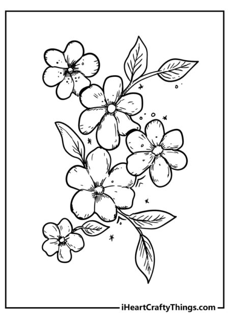 desenho-para-colorir-flores