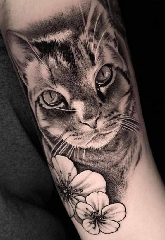 Tatuagem De Gato