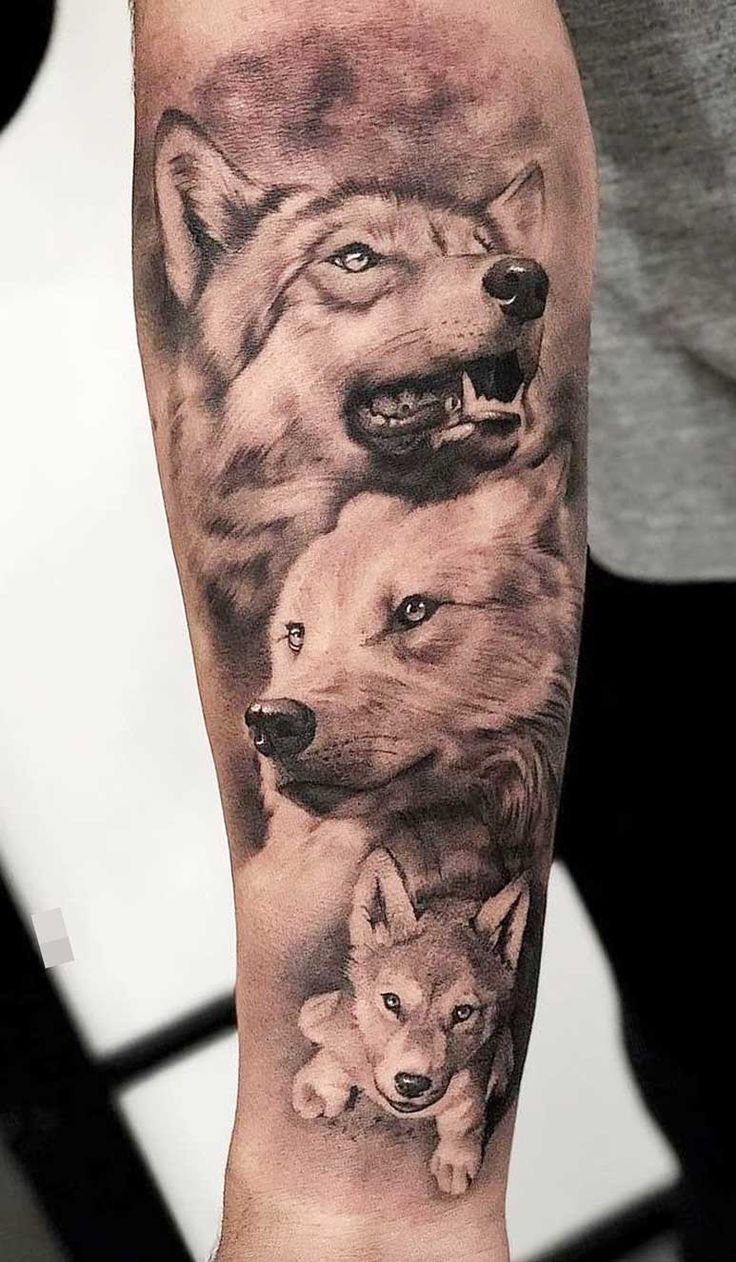 Tatuagem De Lobo