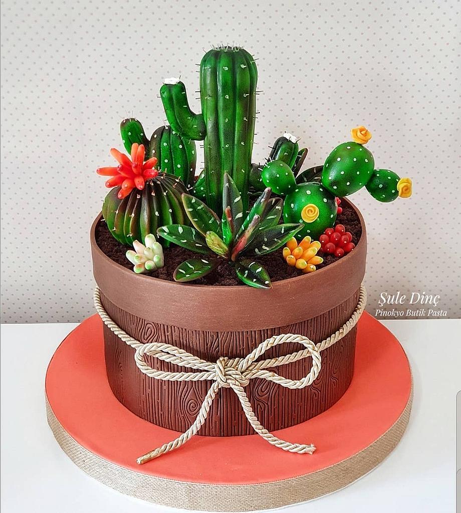 Cactus Decorated Cake