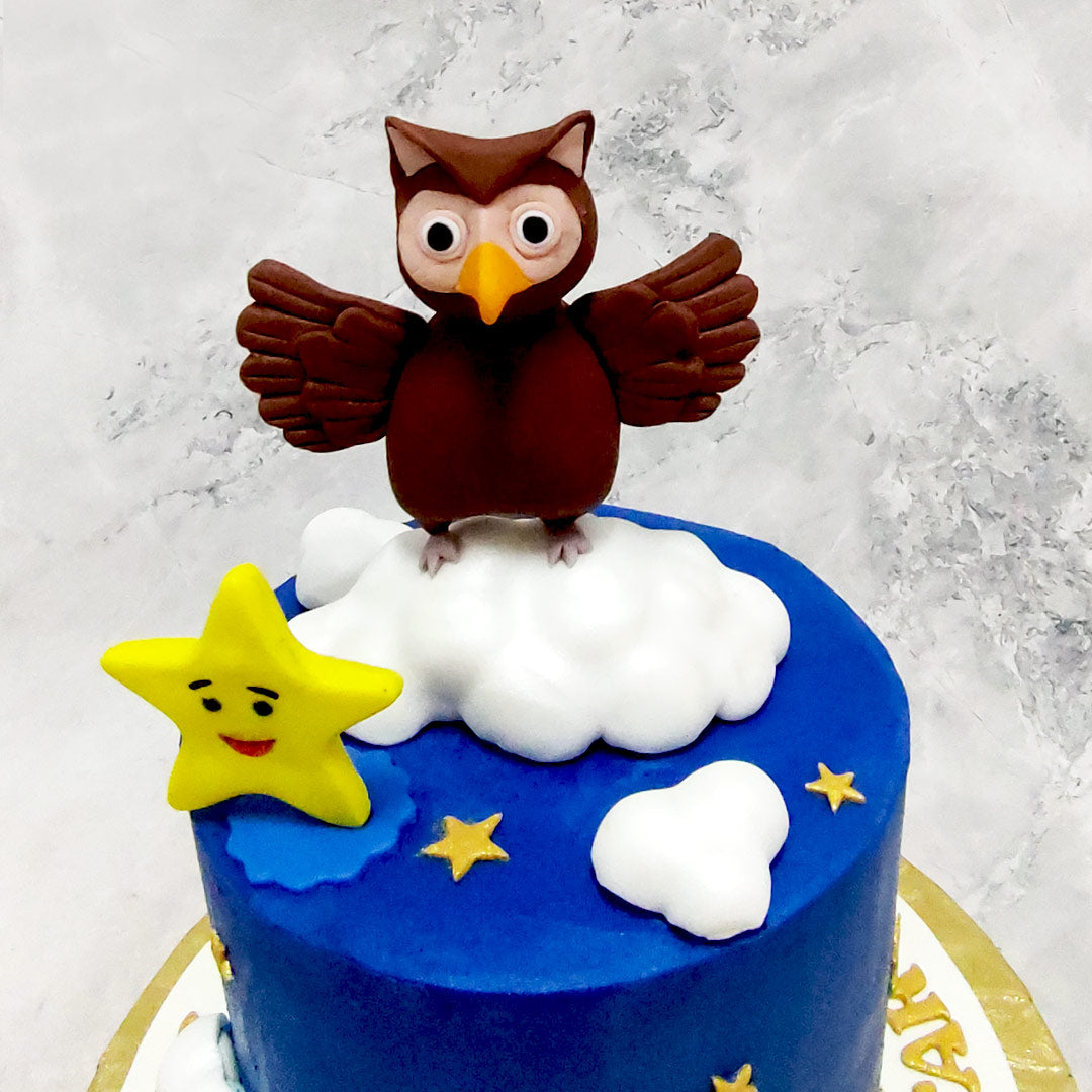 Owl Decorated Cake