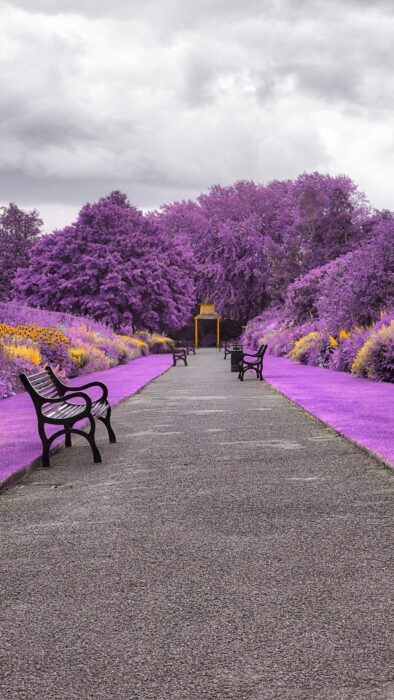 papel-de-parede-para-celular-jardim