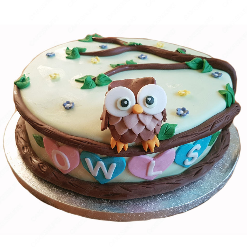 Owl Decorated Cake