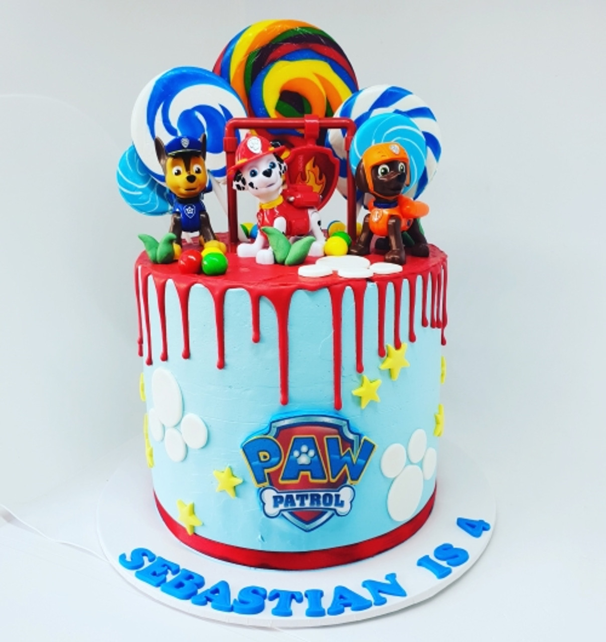 Paw Patrol Decorated Cake