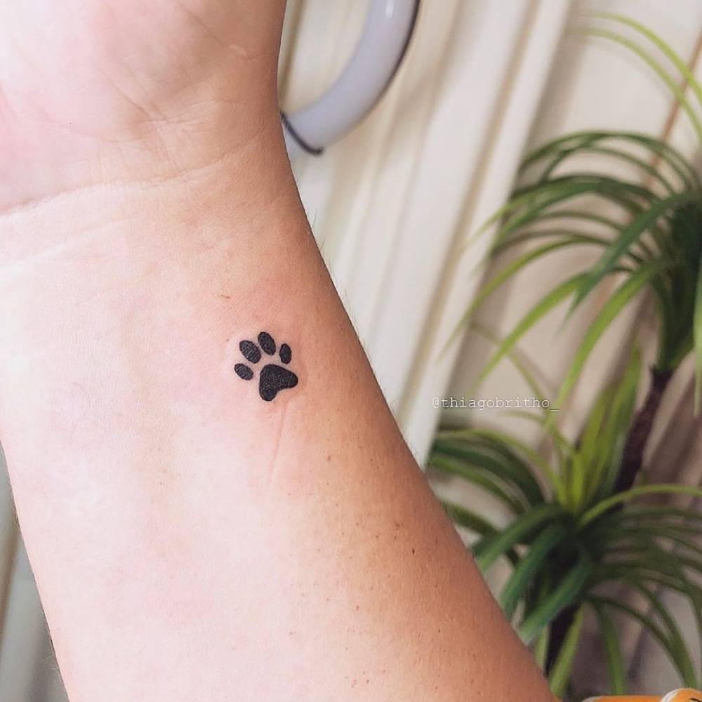 dog tattoo