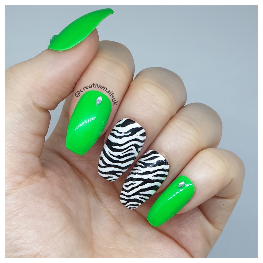 Zebra Decorated Nail