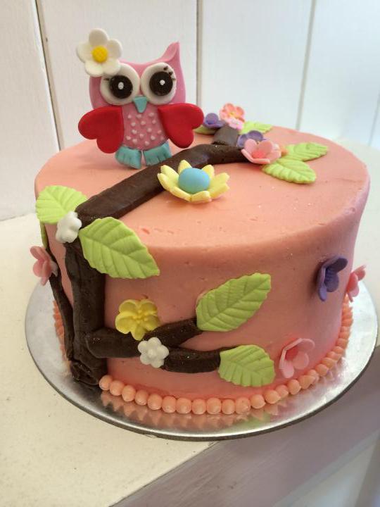 Owl Decorated Cake