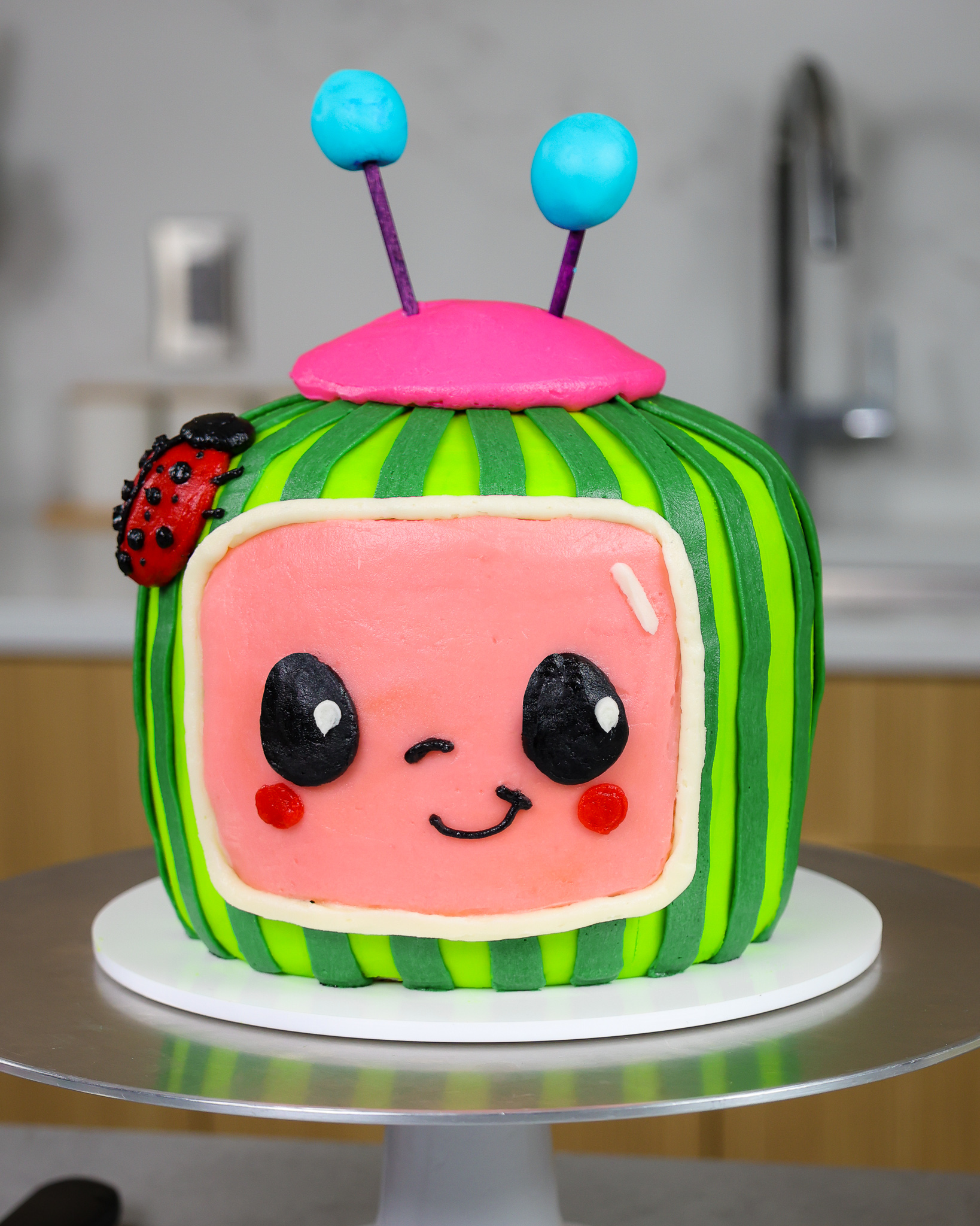 Watermelon Decorated Cake