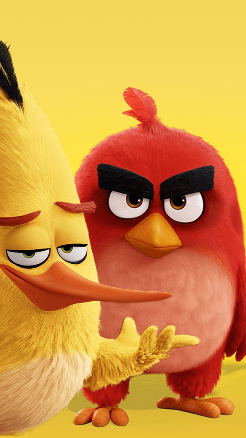 papel-de-parece-para-celular-angry-birds