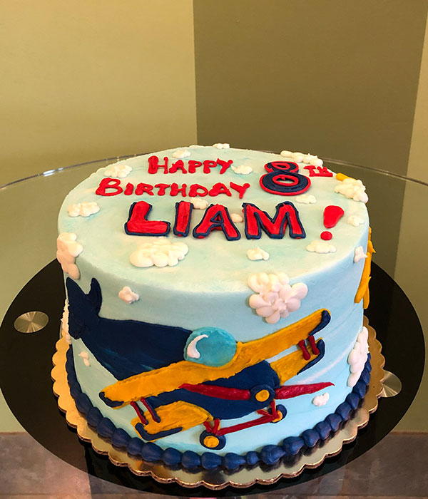 Airplane Decorated Cake