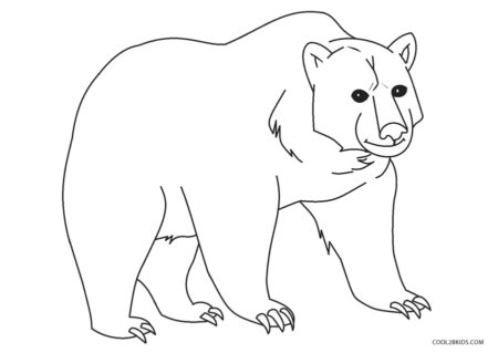 desenho-para-colorir-urso