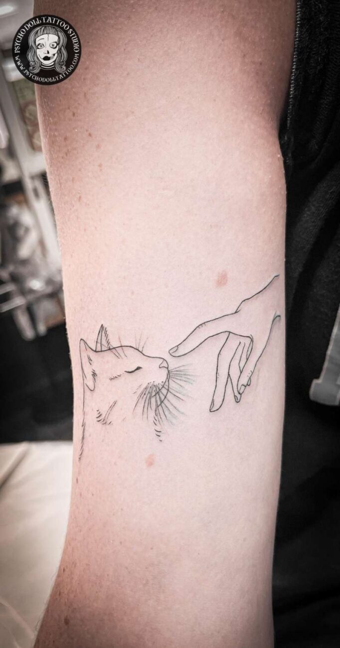 Tatuagem De Gato