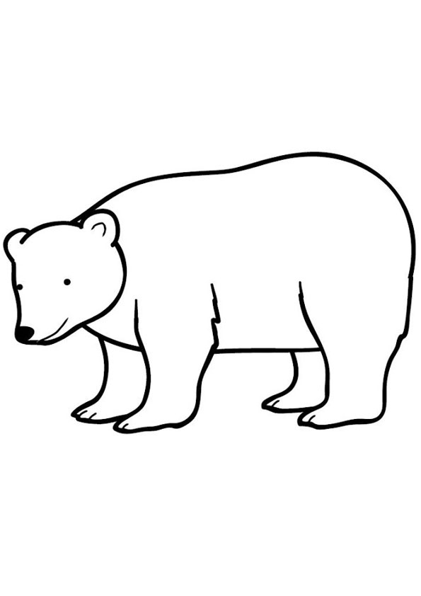 desenho-para-colorir-urso