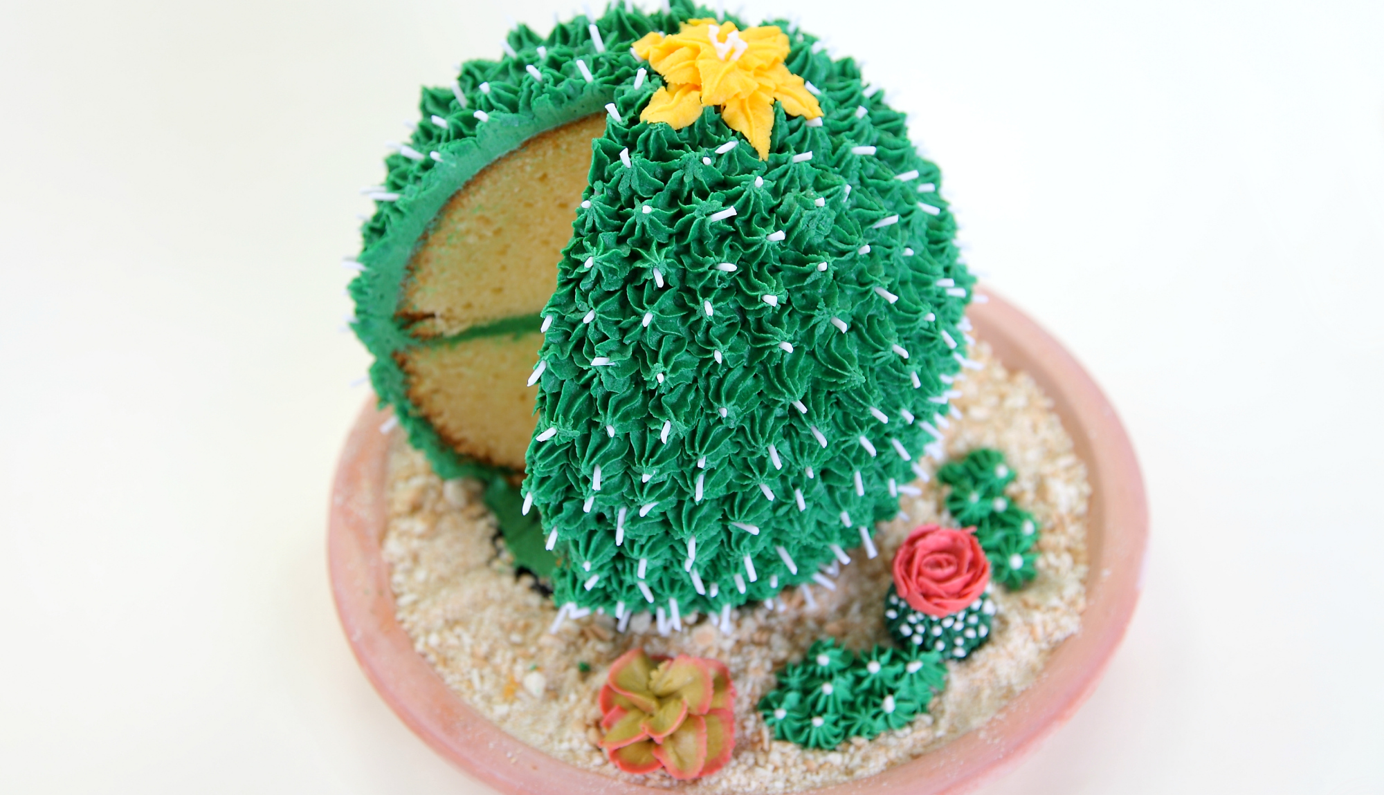 Cactus Decorated Cake