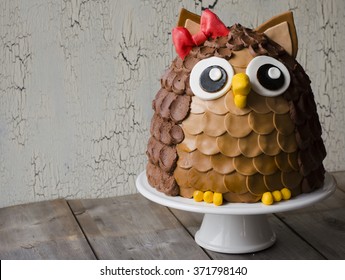 Owl Decorated Cake