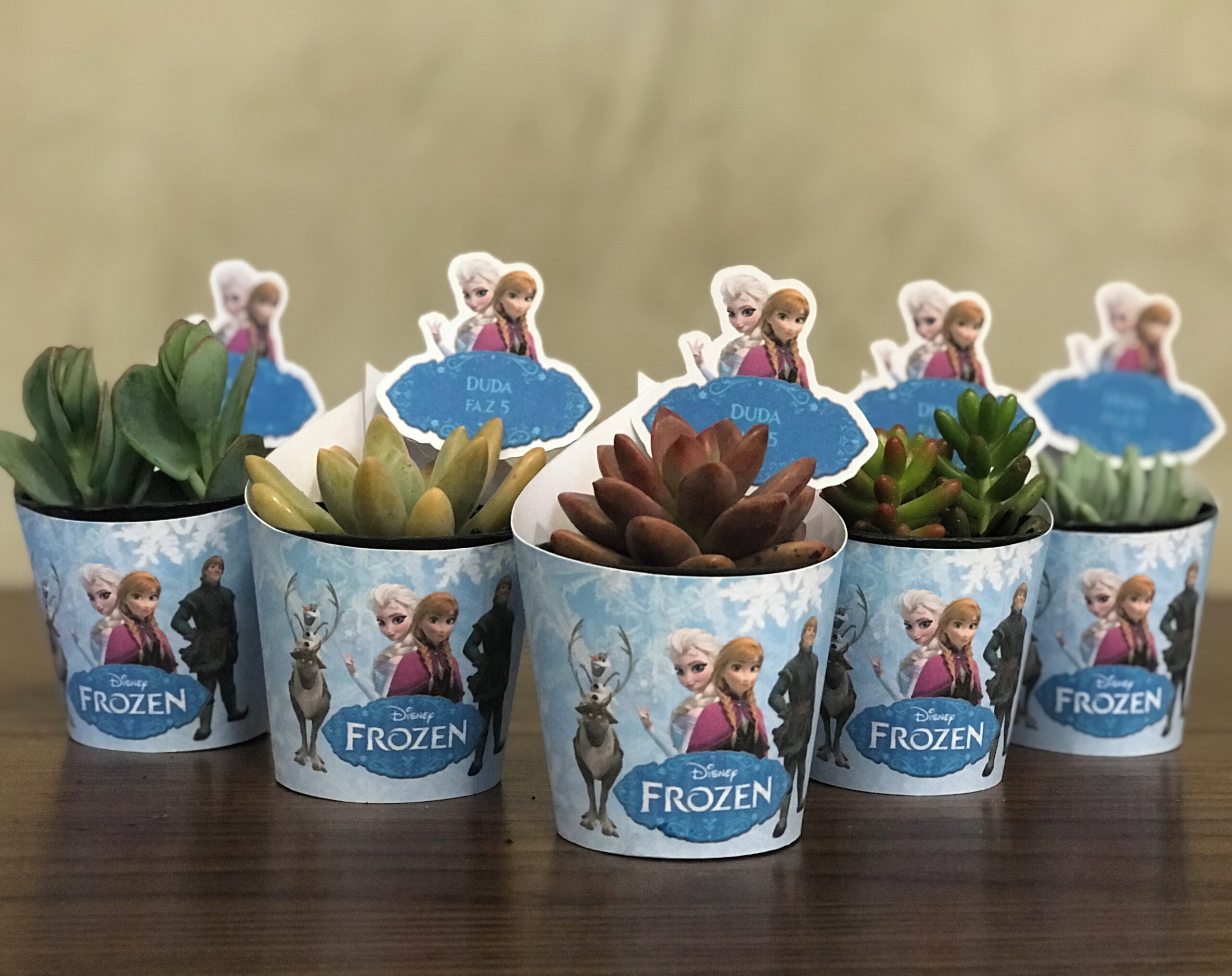 site:elo7.com.br Lembrancinha Frozen