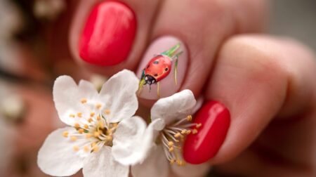 Ladybug Decorated Nails