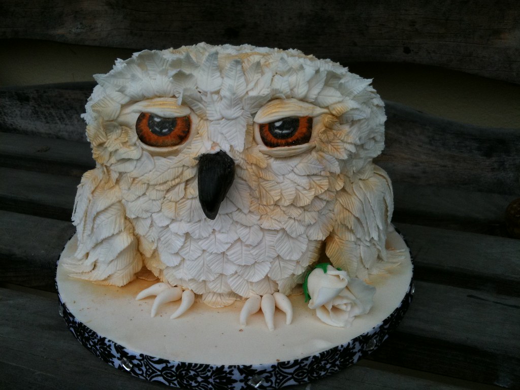 Owl Decorated Cake