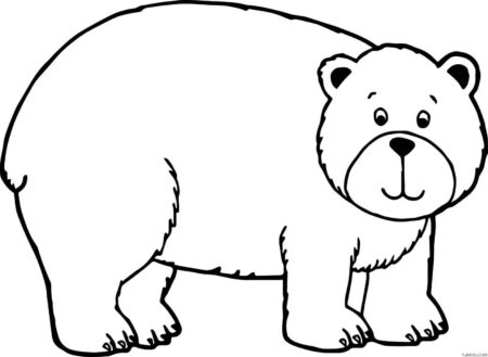 desenho-para-colorir-urso