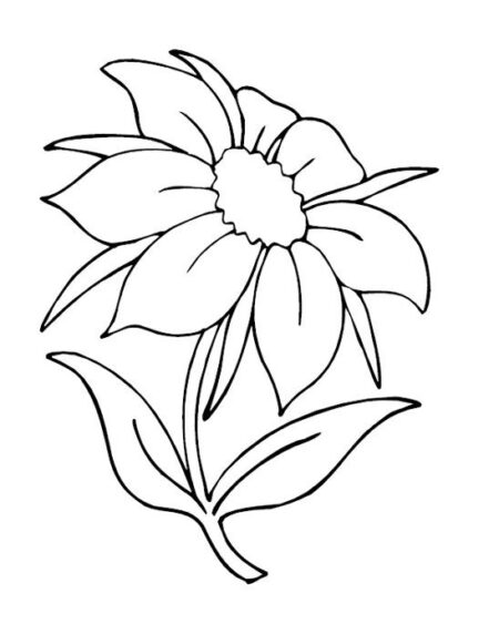 desenho-para-colorir-flores