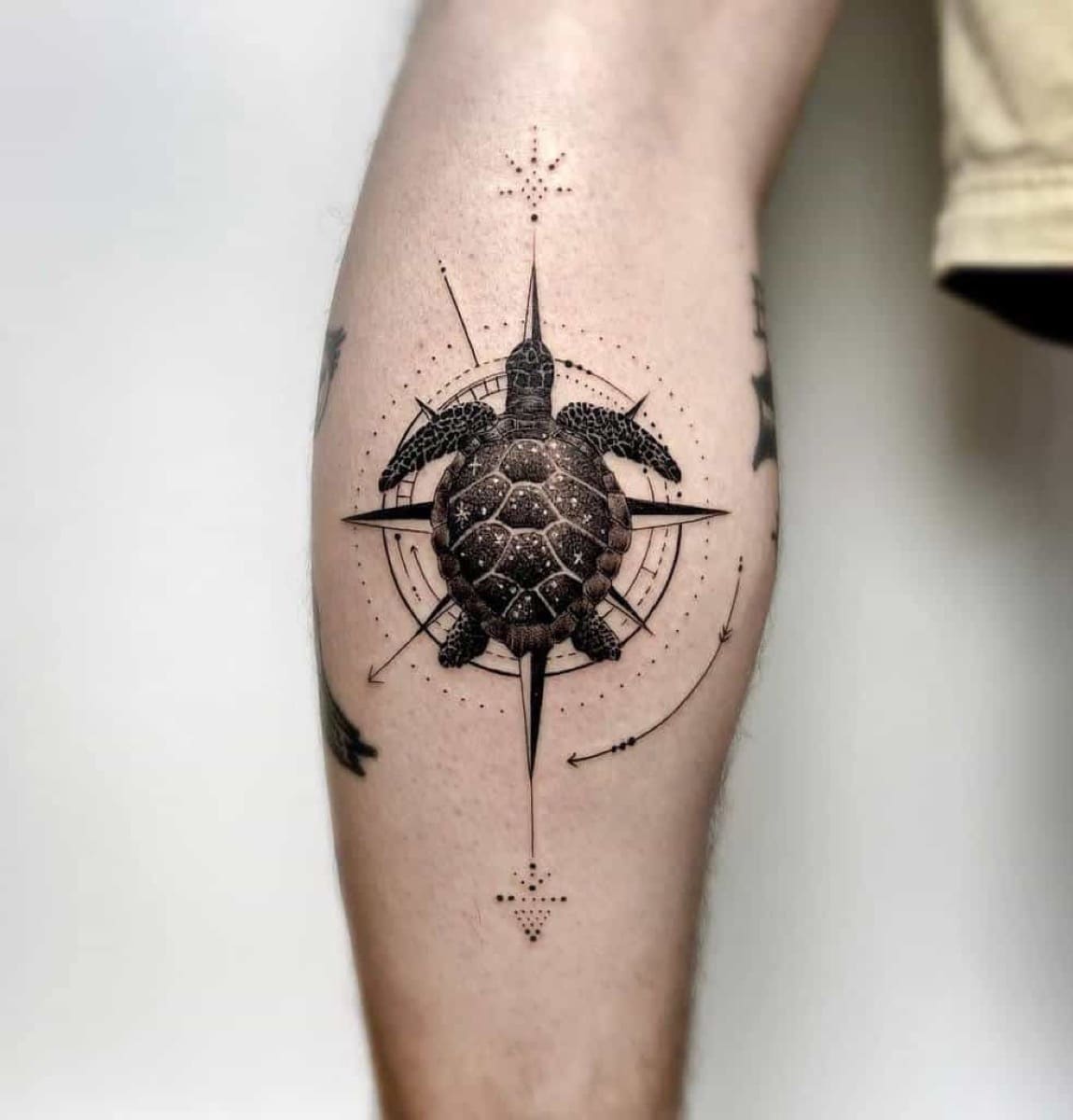 Significado Tartaruga Tatuagem