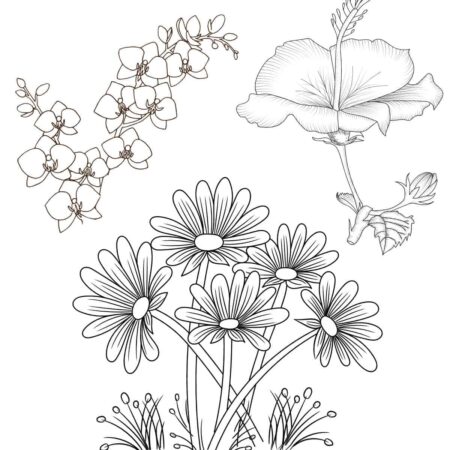 desenho-para-colorir-flores