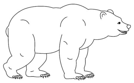 desenho-para-colorir-urso