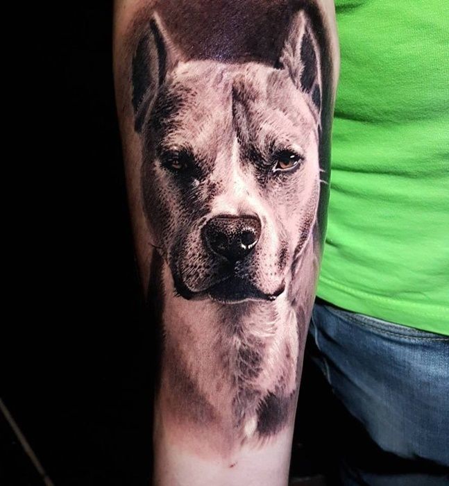 Tatuagem De Cachorro