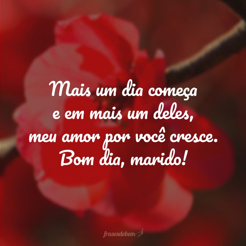 Mensagem De Bom Dia Para Marido