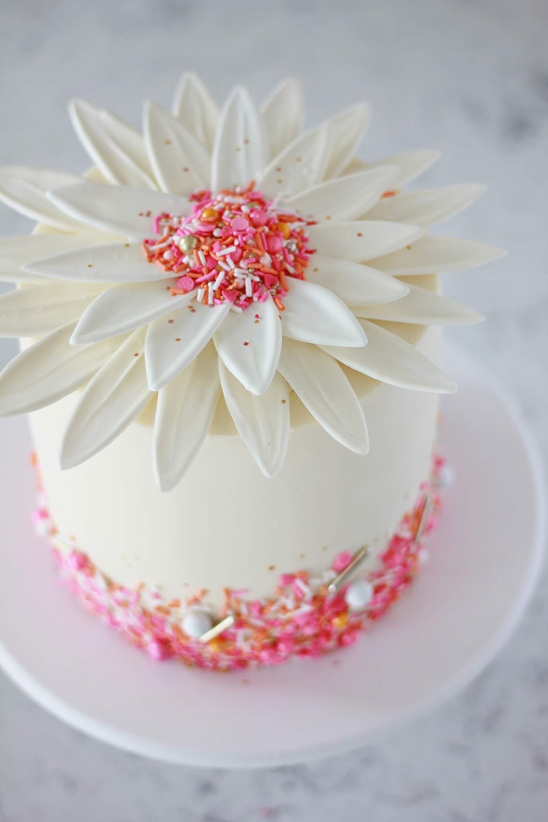 Decorated Cake Daisies