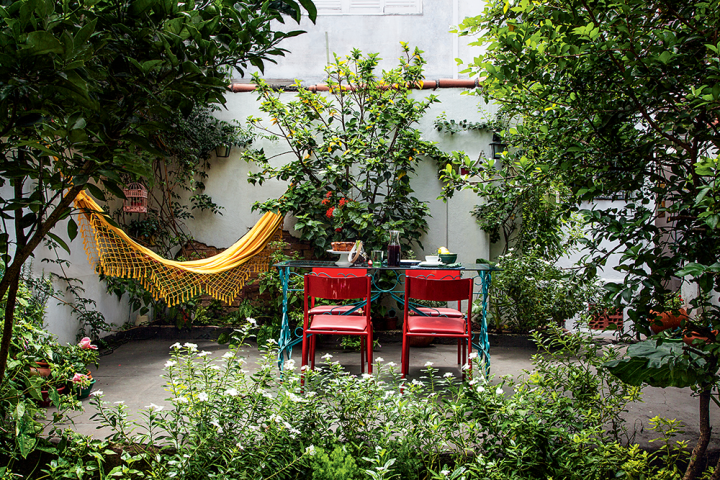 Decoração de Quintal com Plantas