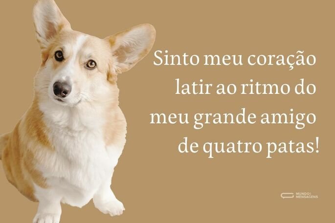 frases-para-fotos-com-cachorro