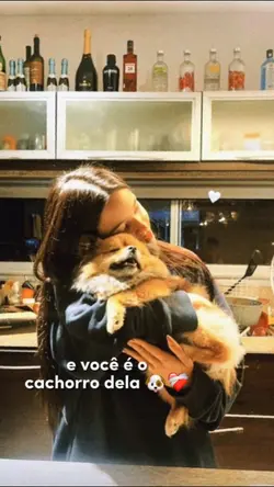 frases-para-fotos-com-cachorro