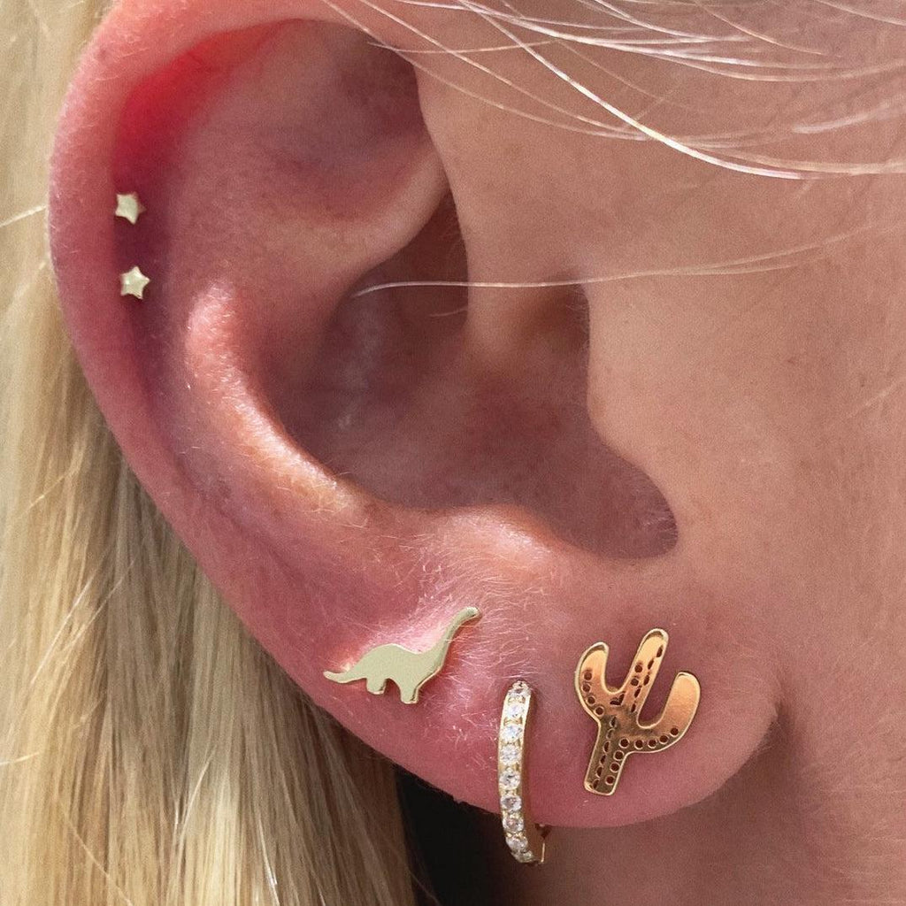 holes in the ear