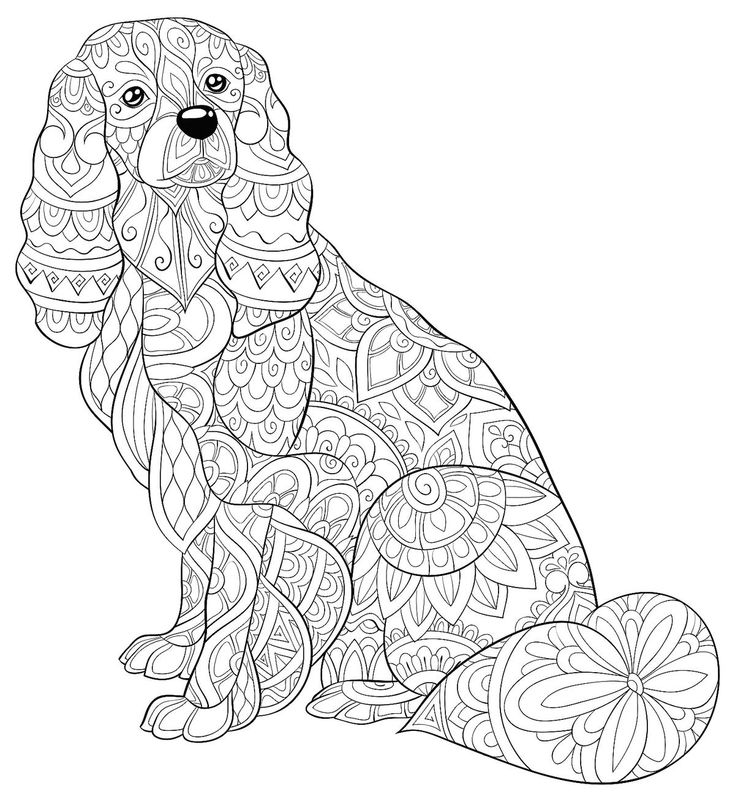 Dog Coloring Page