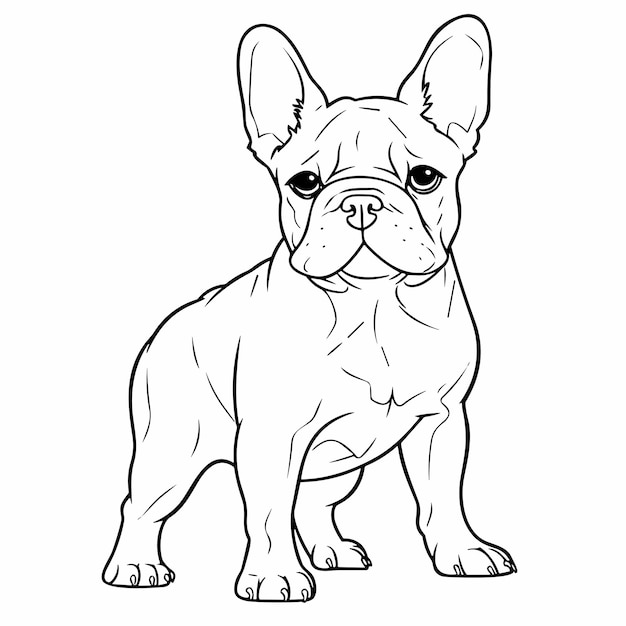 Desenho de Bulldog para Colorir