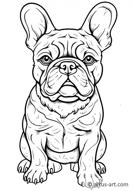 Desenho de Bulldog para Colorir