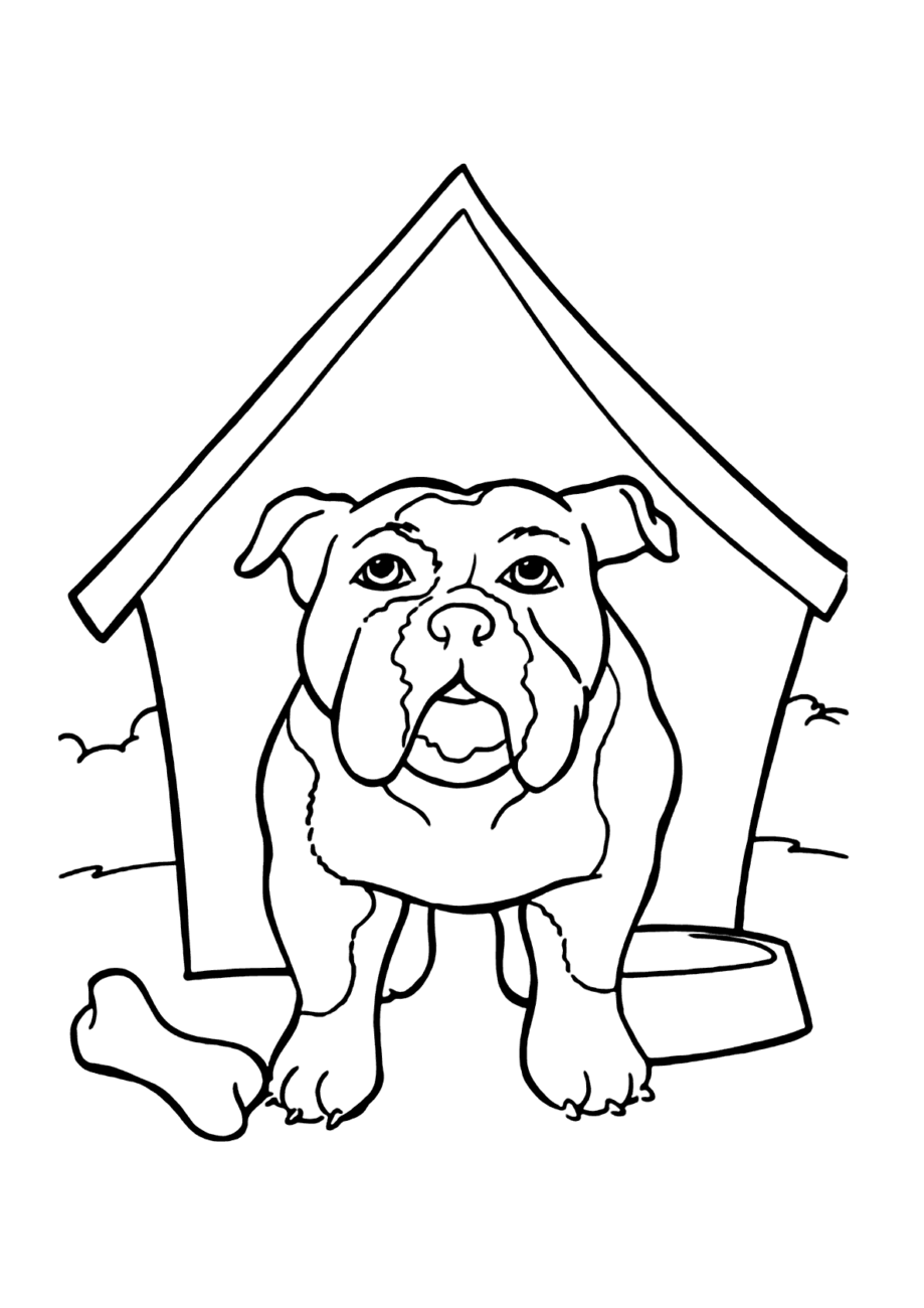 Desenho de Bulldog para Colorir