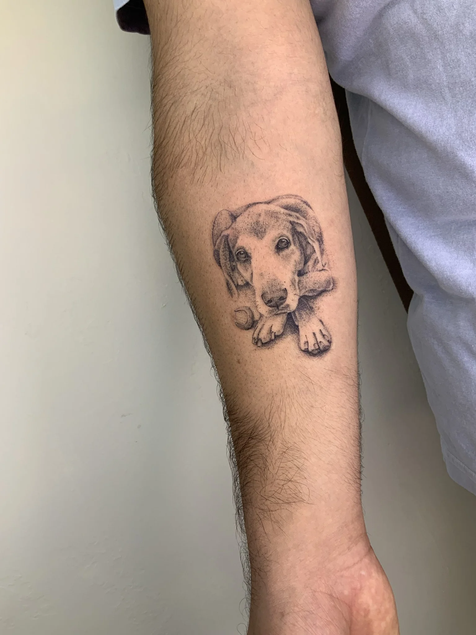 Tatuagem De Cachorro