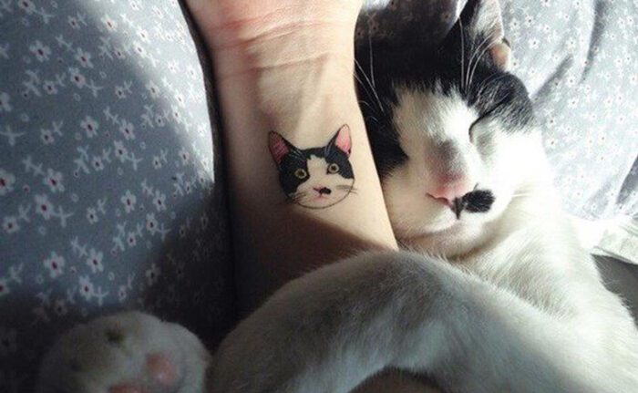 Tatuagem De Gato