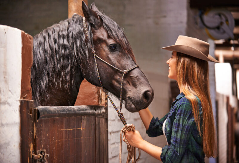 Pose Olhando para o Cavalo